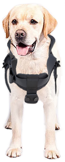 Dog Rescue Harness - Kaya Safety