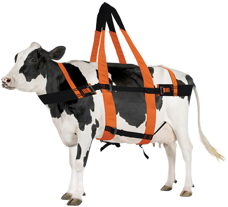 Large Animal Rescue Harness Kaya Safety